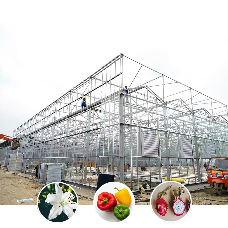 Giải pháp nông nghiệp mọi thời tiết Cấu trúc ổn định Nhà kính với thép kẽm nóng và thủy tinh thương mại