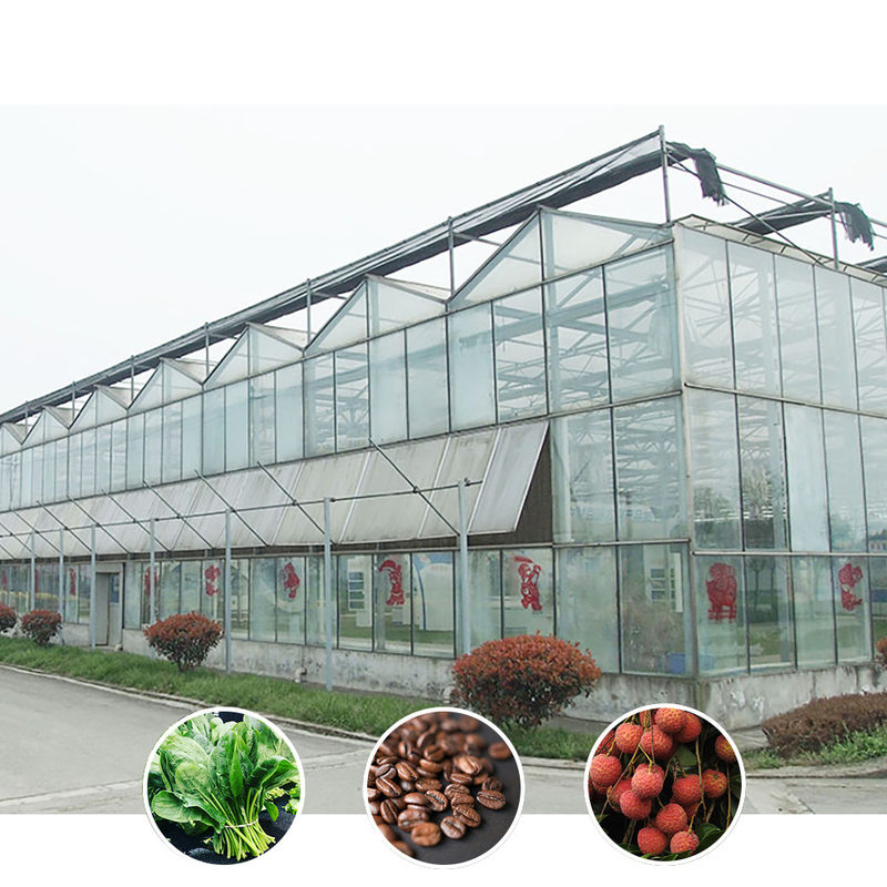 Giải pháp nông nghiệp mọi thời tiết Cấu trúc ổn định Nhà kính với thép kẽm nóng và thủy tinh thương mại
