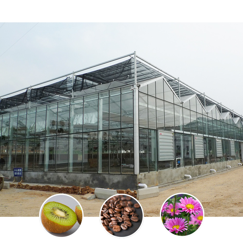 Giải pháp nông nghiệp mọi thời tiết Cấu trúc ổn định Nhà kính với thép kẽm nóng và thủy tinh thương mại