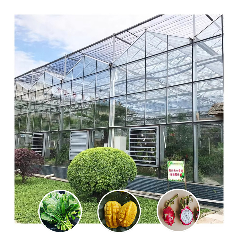 Venlo loại galvanized đường hầm lớn thủy tinh nông nghiệp nhà kính cho hoa