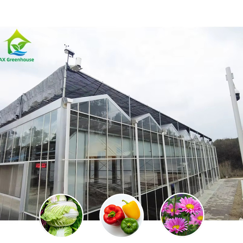 Giải pháp nông nghiệp mọi thời tiết Cấu trúc ổn định Nhà kính với thép kẽm nóng và thủy tinh thương mại
