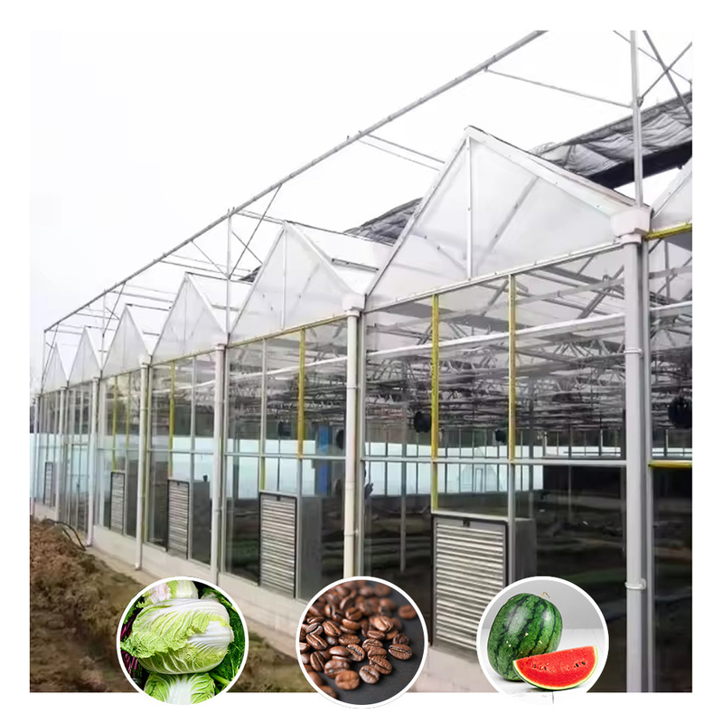 Venlo loại galvanized đường hầm lớn thủy tinh nông nghiệp nhà kính cho hoa