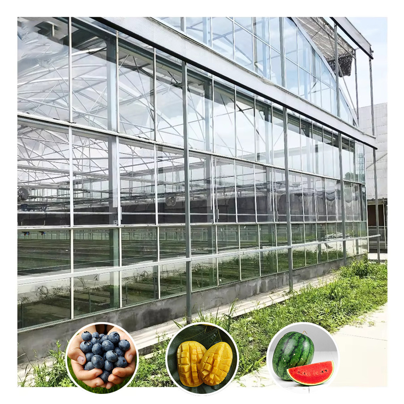 Venlo loại galvanized đường hầm lớn thủy tinh nông nghiệp nhà kính cho hoa