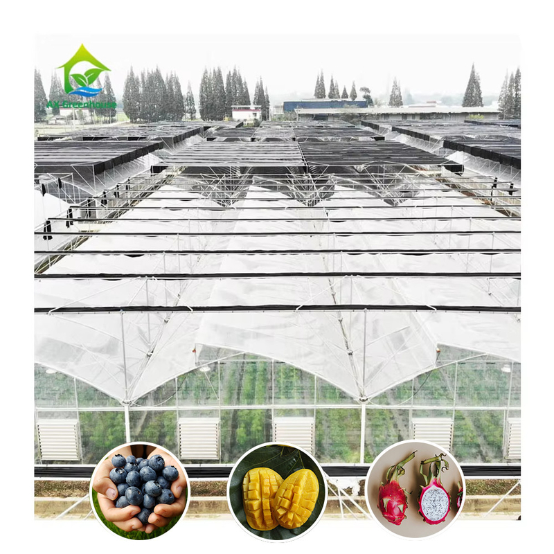 Cấu trúc thép galvanized nóng Multi-Span phim nhựa Custom nhà kính với nhiệt đới top thông gió thiết kế răng cưa
