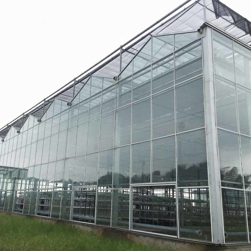 Multi Span Venlo Style Glass Agricultural Greenhouse có hình dạng mái nhà tam giác và thông gió bên trên để thông gió