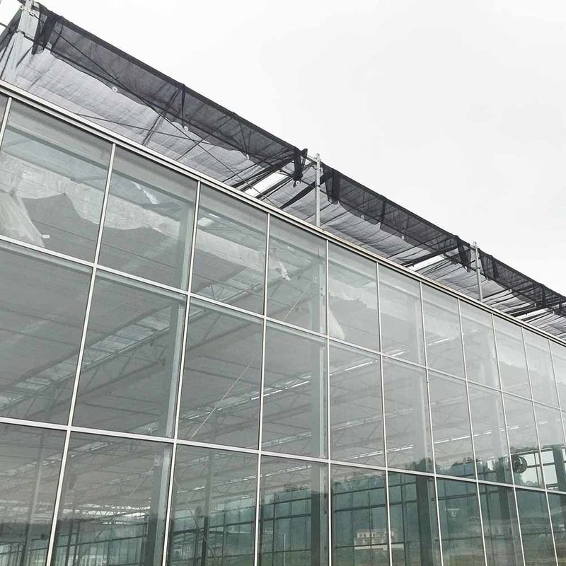 Nhà kính kính loại Venlo nông nghiệp Kỹ thuật Hà Lan Khung mạ kẽm cho thủy canh