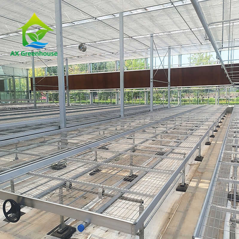 Bàn phát triển băng ghế xanh nhà kính tùy chỉnh với lợi thế xây dựng dễ dàng và cấu trúc khung thép kẽm nóng