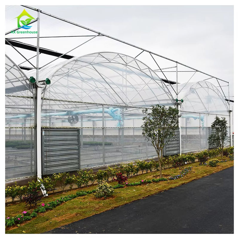 Nhà kính đa nhịp polytunnel thương mại Thiết kế mô-đun Quy mô lớn Trồng trọt Thép mạ kẽm Màng UV