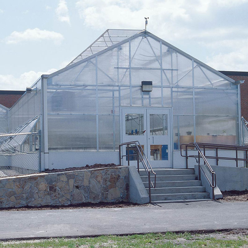 Nhà kính polycarbonate đa chiều đa năng Ưu điểm cho rau củ Cây trồng hoa Nông trại sân sau