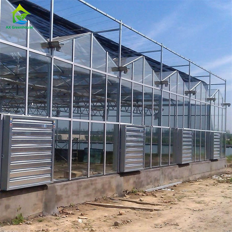 Thiết bị trồng dâu tây rau trong nhà kính polycarbonate kính bền - Bộ dụng cụ nhà kính tất cả trong một