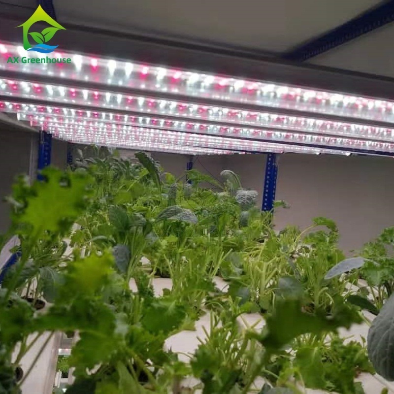 Hệ thống trồng tự động thông minh Container Farm Multi-layer Vertical NFT Hydroponic Soilless Cultivation System