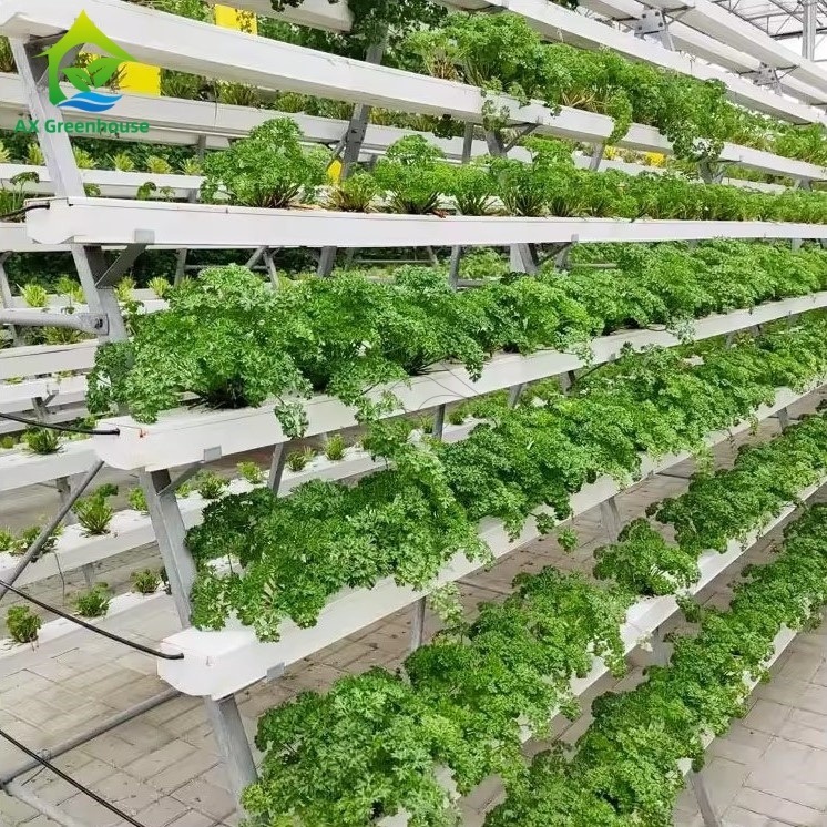 Hệ thống trồng trọt không đất trong nhà kính, kỹ thuật màng dinh dưỡng (NFT) hình chữ A, kênh trồng rau hiệu quả