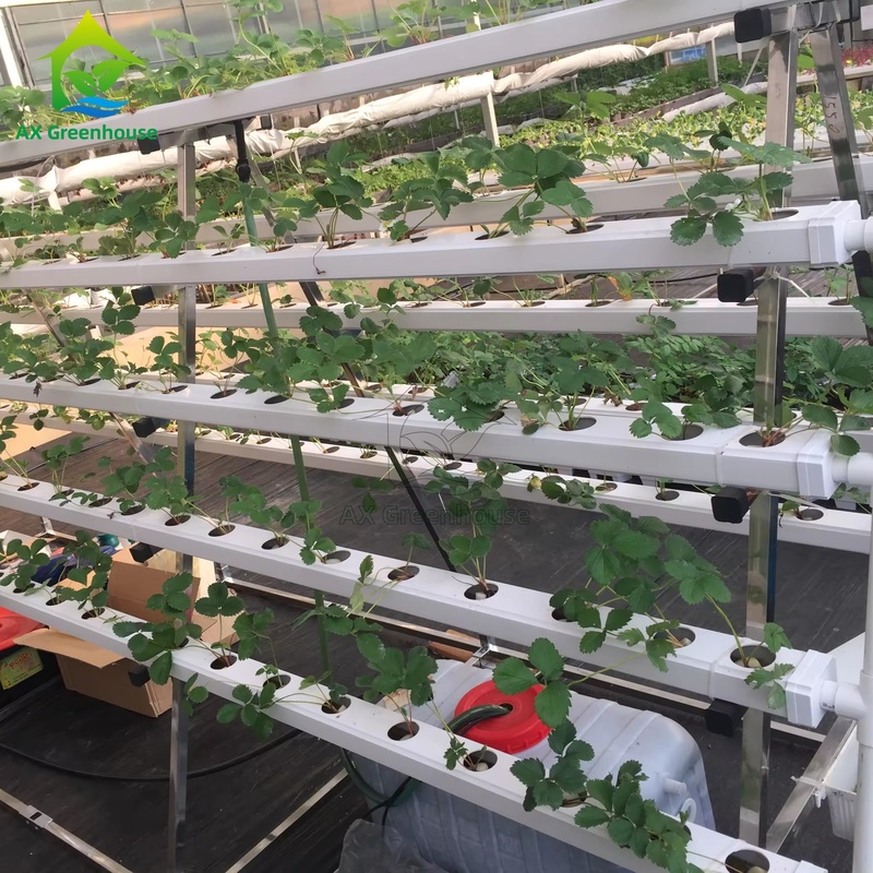 Hệ thống trồng trọt không đất trong nhà kính, kỹ thuật màng dinh dưỡng (NFT) hình chữ A, kênh trồng rau hiệu quả