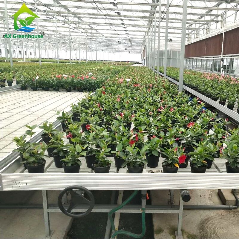 Thang hồ Ebb & Flow của khung nhôm thương mại với chiều cao điều chỉnh và khay PP / ABS tích hợp cho nhà kính