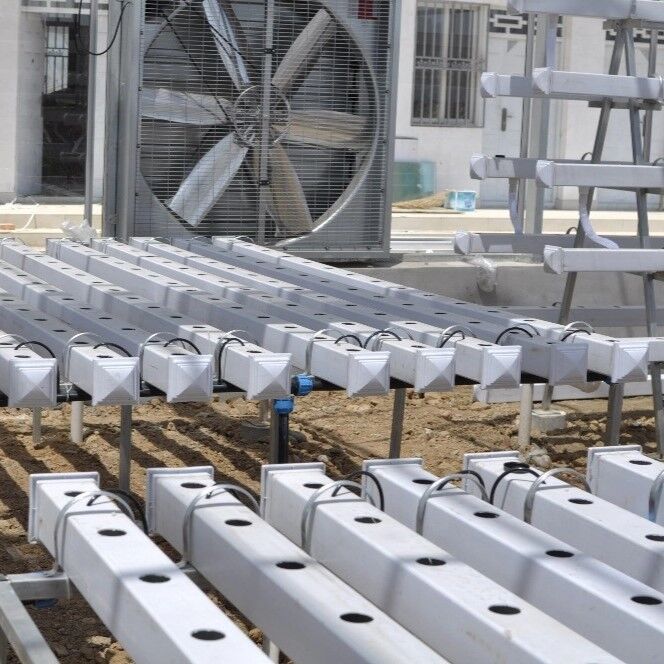 Hệ thống hầm thủy sản PVC NFT cấp thực phẩm với chất ức chế tia cực tím và kích thước tùy chỉnh cho nhà kính thương mại