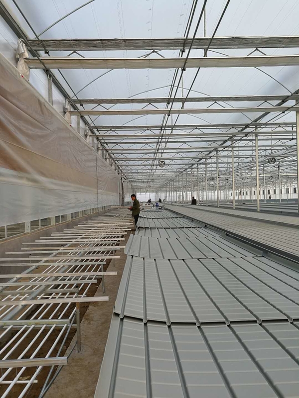Chiều rộng 0,71-1,78m Băng ghế lăn trong nhà kính Ebb và dòng chảy Bảng lũ lụt thủy canh