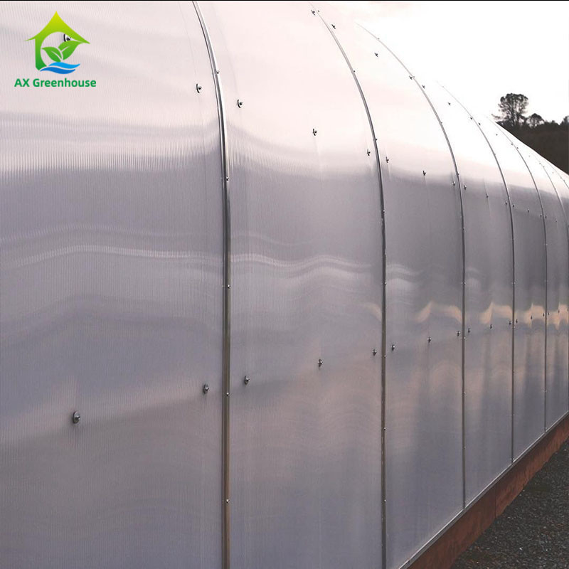 Chiều cao tường 1,8-3m Chiều cao nhà kính phát triển đường hầm với hệ thống kiểm soát khí hậu