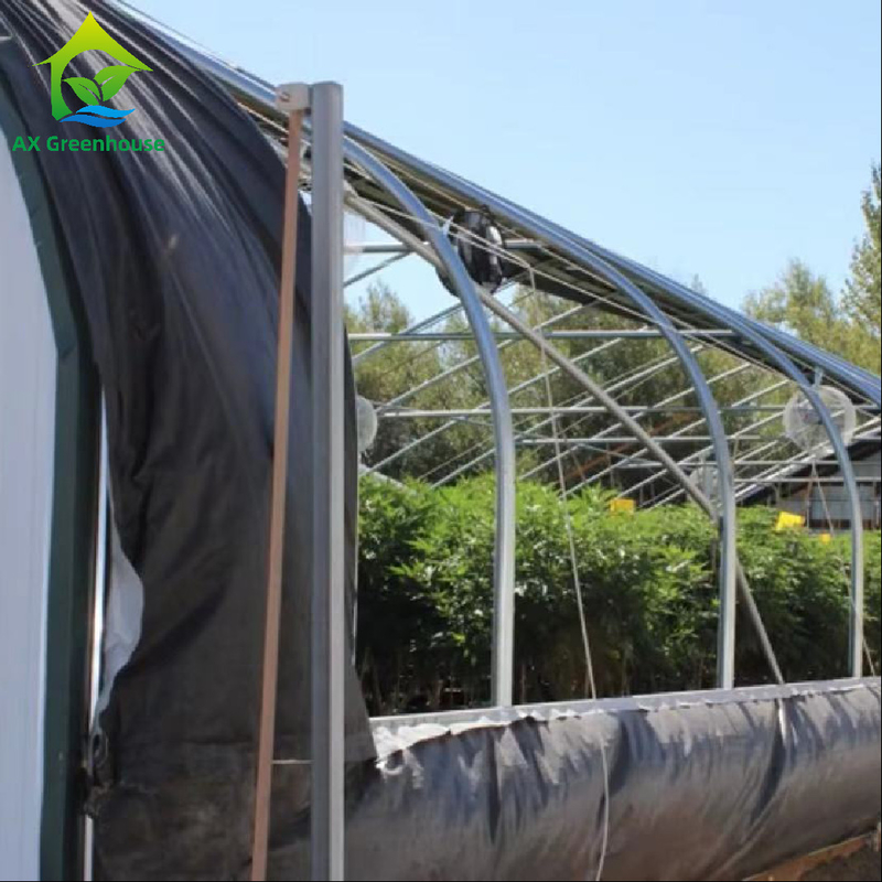Nhà kính thiếu ánh sáng bên ngoài OEM Hệ thống mất điện dài 32m-50m Nhà kính để trồng cần sa