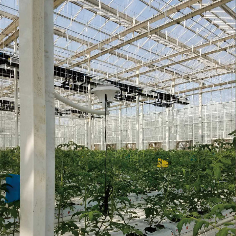 Hệ thống giám sát nhà kính thông minh với nguồn AC220V và Máy đo nồng độ CO2 0~50000 PPM để kiểm soát khí hậu tối ưu