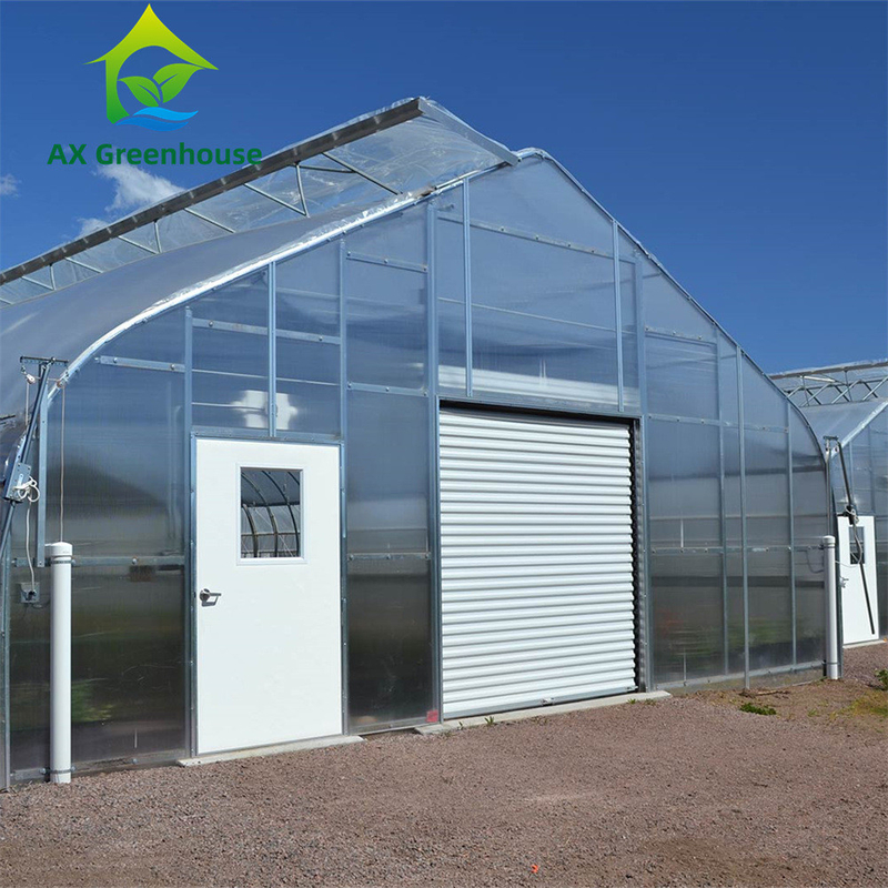 Nhà kính polycarbonate đa chiều đa năng Ưu điểm cho rau củ Cây trồng hoa Nông trại sân sau