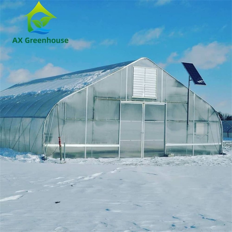 Nhà kính polycarbonate đa chiều đa năng Ưu điểm cho rau củ Cây trồng hoa Nông trại sân sau