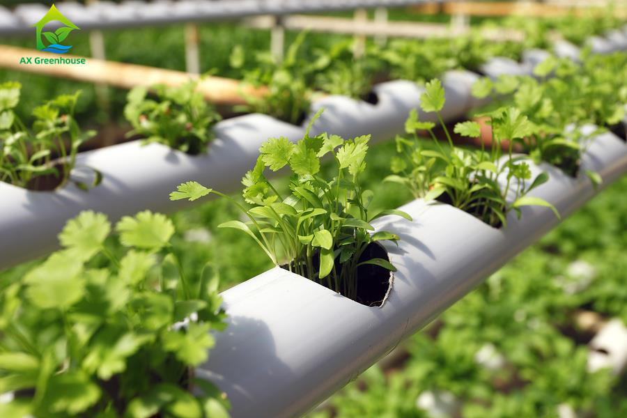 Không đất nông nghiệp trong nhà trồng dâu tây PVC ống cho hệ thống NFT Hydroponics For Sale
