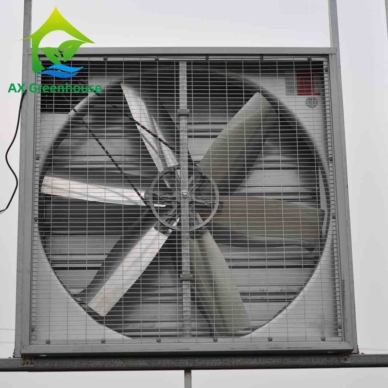 Dia 500-1250mm Blade Quạt hút tường ướt Quạt hút gắn tường công nghiệp