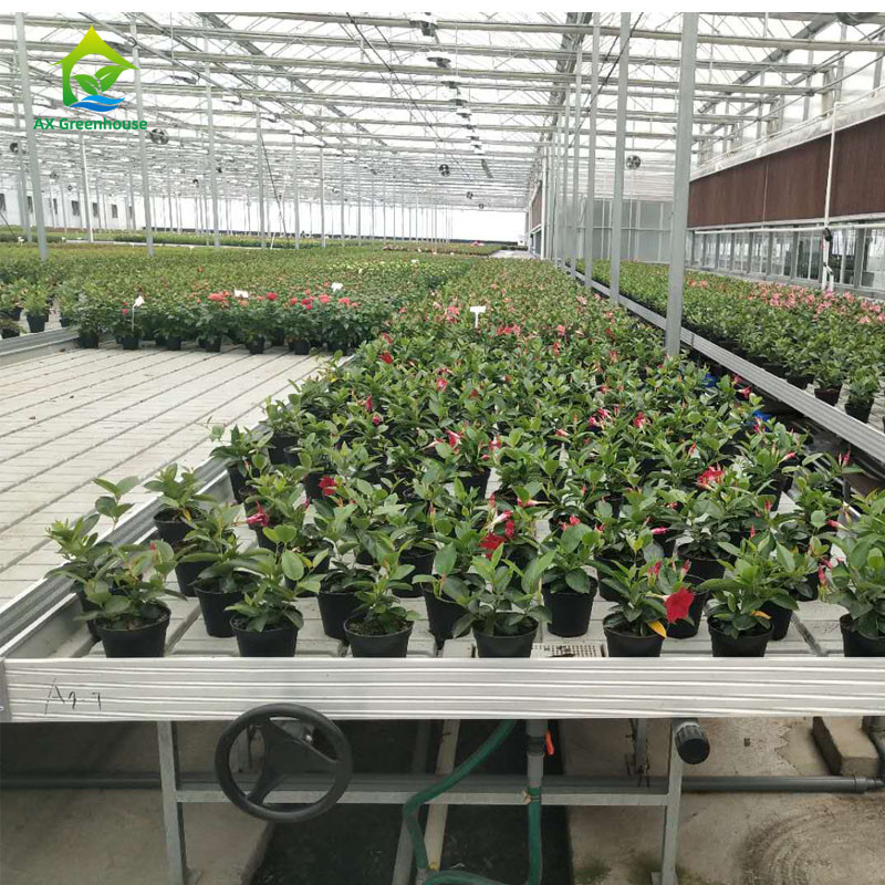 Cây trồng vườn tùy chỉnh kích thước Nhà kính Grow Table Hydroponic Ebb Flood Rolling Bench