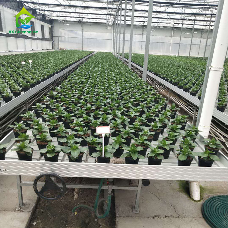 Bàn di động nhà kính thân thiện với môi trường, ổn định với tấm nhựa ABS và khung hợp kim nhôm, kích thước tùy chỉnh