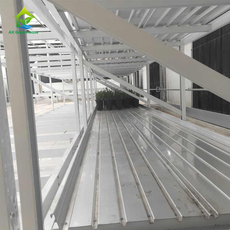 Ứng dụng tùy chỉnh trong nhà hai lớp rau thuốc thảo mộc Grow Rack cho nông nghiệp dọc