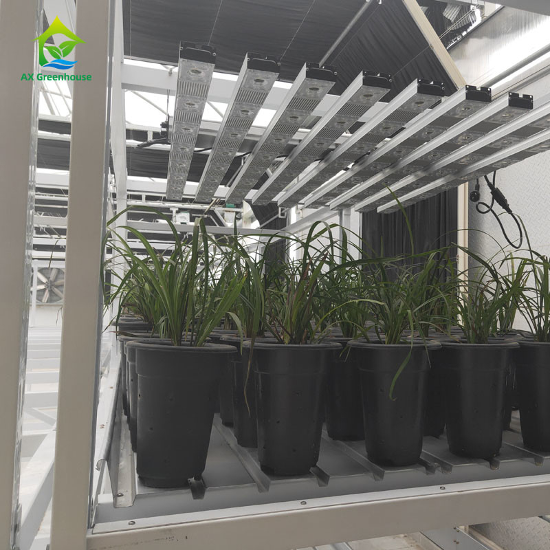 Ứng dụng tùy chỉnh trong nhà hai lớp rau thuốc thảo mộc Grow Rack cho nông nghiệp dọc