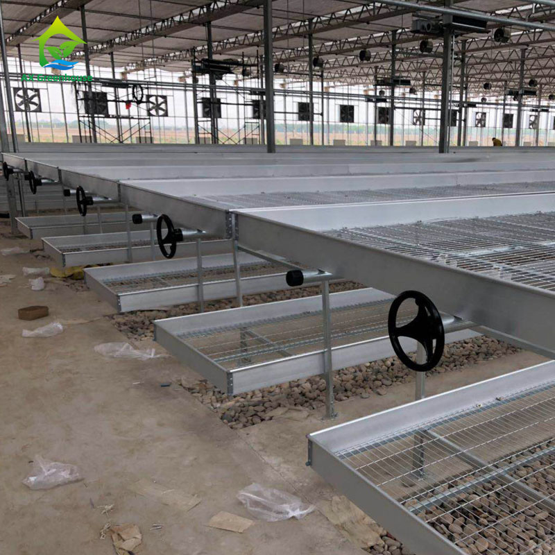 Nông nghiệp thương mại trong nhà lưới dây nhà kính tăng trưởng bàn Rolling Bench cho trồng