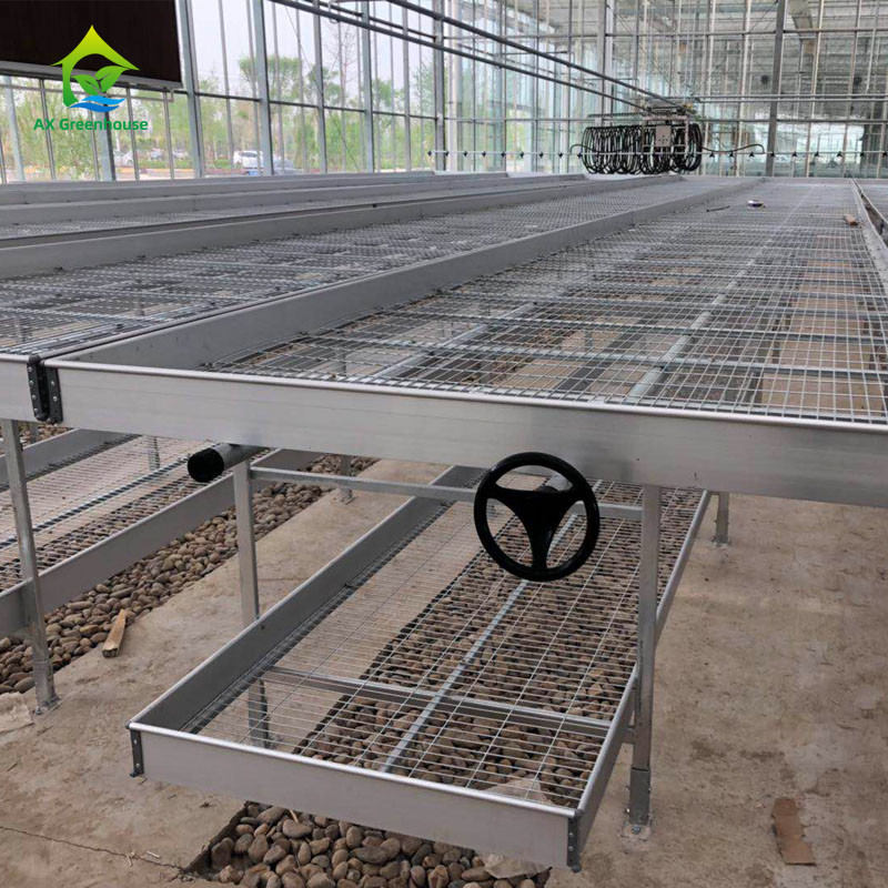 Nông nghiệp thương mại trong nhà lưới dây nhà kính tăng trưởng bàn Rolling Bench cho trồng
