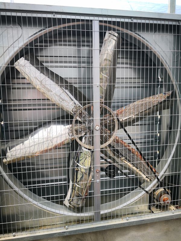 Ống quạt khí thải nhà kính nhôm công nghiệp chống ăn mòn cho làm mát bằng hơi ẩm